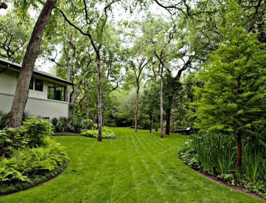 Southern Botanical Landscape & Tree Care