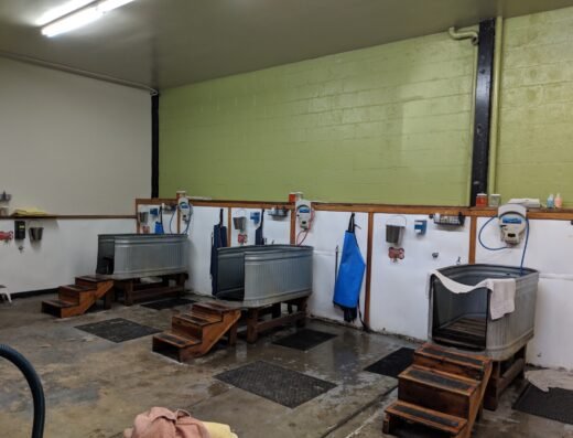 Splash Hound USA – pet grooming in Sacramento (photo 1)