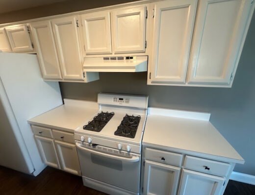 Steadfast Home & Business Services – home cleaning in Detroit
