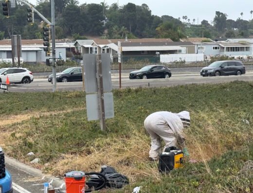 Suncoast Pest Management – pest control in San Diego