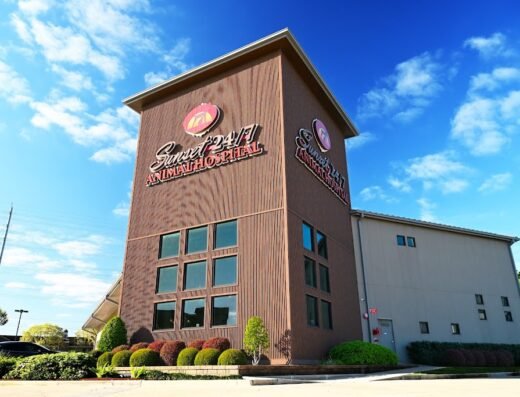 Sunset Animal Hospital