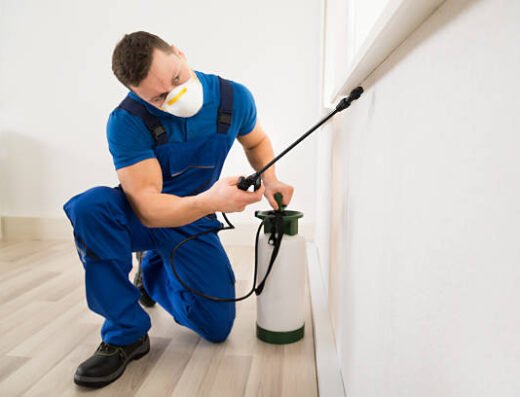 Superior Pest Control Dallas