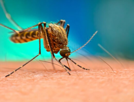 Sure Thing Pest Control – pest control in Cincinnati (photo 1)