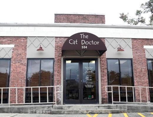 The Cat Doctor