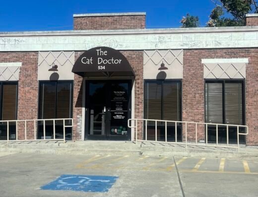 The Cat Doctor