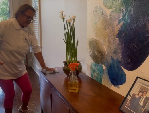 The Cleaners of New Orleans – home cleaning in New Orleans (photo 2)