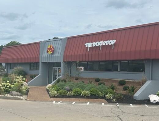 The Dog Stop - Cincinnati Central – pet care in Cincinnati (photo 2)