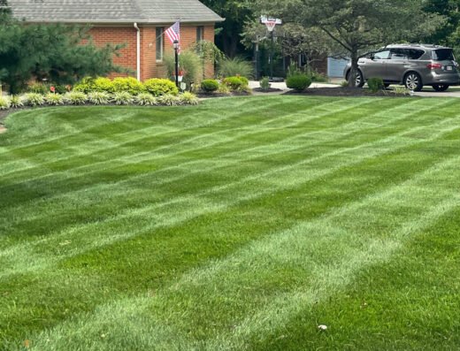 The Grass Guys Lawn Care – lawn care in Cincinnati (photo 1)