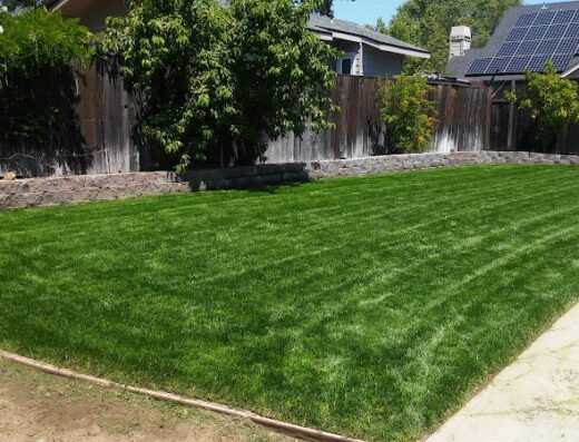 The Lawnmowerman – Lawn care in San Jose