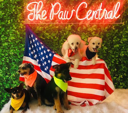 The Paw Central