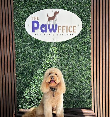 The Pawffice Pet Spa & Daycare – pet care in San Francisco