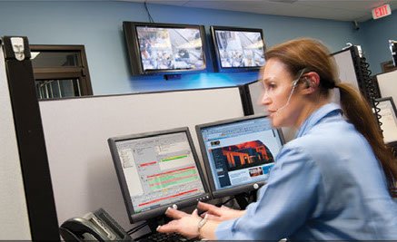 The Safeguard System Inc