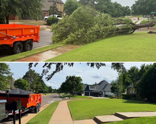 Timber Tree Service