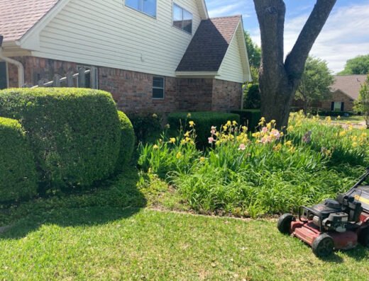 Timberline Lawn & Landscape