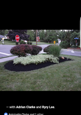 TLG Lawn Services LLC – lawn care in Cincinnati