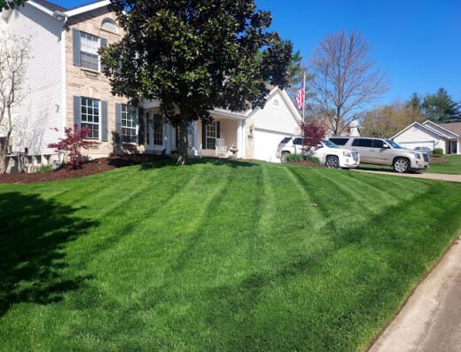 Top Notch Lawn Maintenance LLC – lawn care in St. Louis