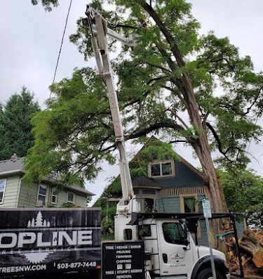 Topline Tree Service LLC – tree service in Portland
