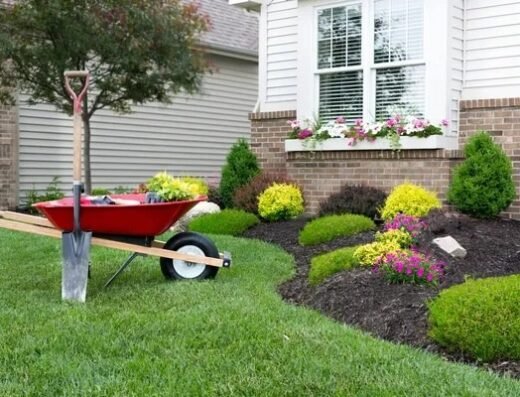 Trim That Bush Landscaping – lawn care in Cincinnati