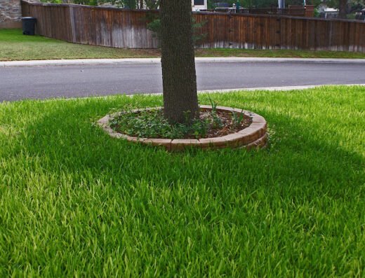 TruGreen Corpus Christi