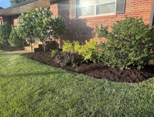 Ultimate lawn care us LLC – lawn care in St. Louis