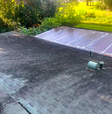 Ultra Roofer Peak Authority