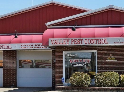 Valley Termite & Pest Control – pest control in Cincinnati (photo 2)