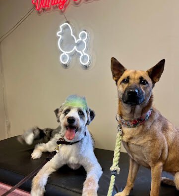 Vanity Furs Pet Salon and Hotel