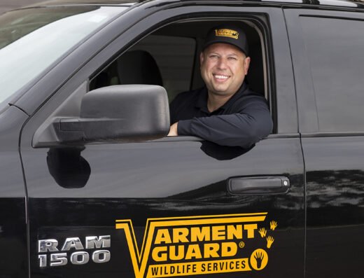 Varment Guard Wildlife Services – pest control in Cincinnati