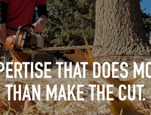 Expertise That Does More Than Make the Cut