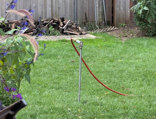 Vineland Tree Care – lawn care in Minneapolis