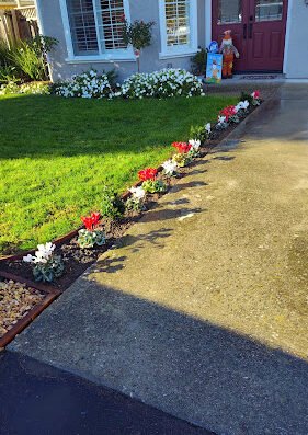 Vista Valley Landscape Inc – Lawn care in San Jose