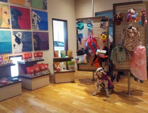 Wag Hotels - West Sacramento – pet boarding in Sacramento (photo 2)