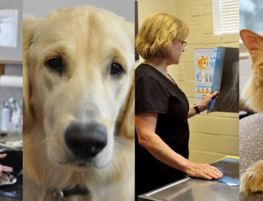 West Alabama Animal Clinic