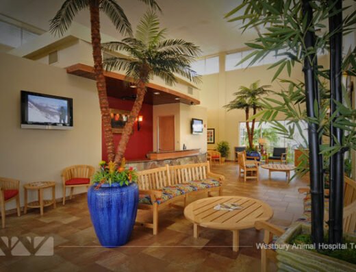 Westbury Animal Hospital