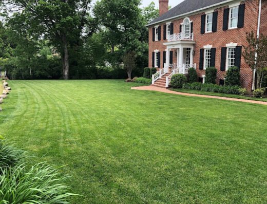 Westside LA Lawn Care and Landscaping Services
