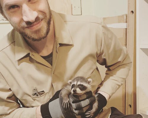 Wildlife Advocates - Humane Wildlife Control and Removal – Pest control in Seattle