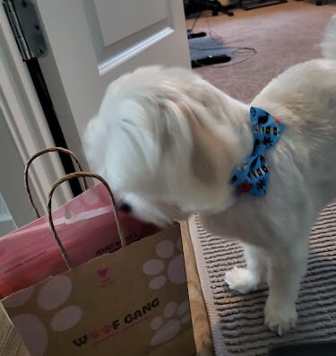 Woof Gang Bakery & Grooming Blue Oaks – pet grooming in Sacramento