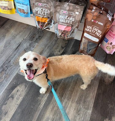 Woof Gang Bakery & Grooming Pearl
