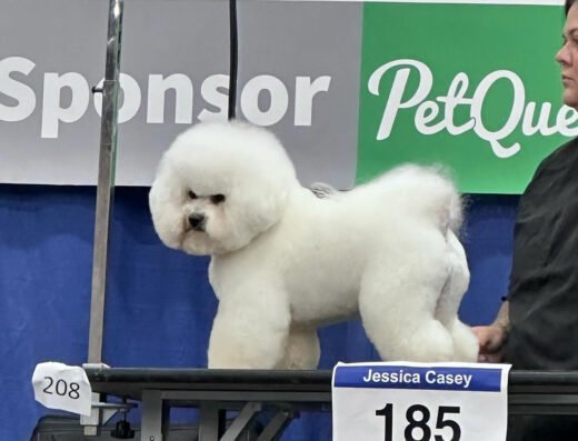 Wüf Pet Spa OTR – pet care in Cincinnati (photo 1)