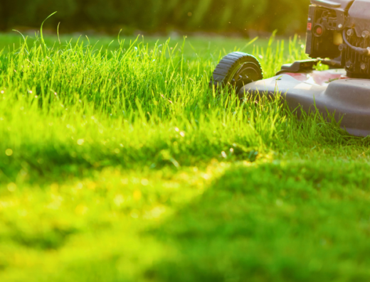 YardDoc