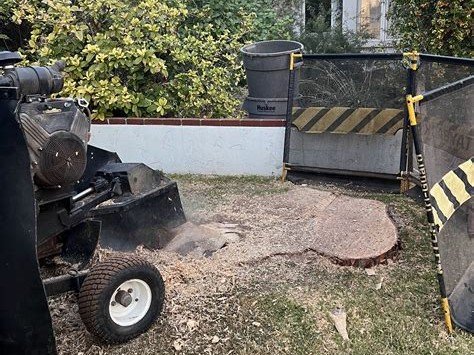 B&C Tree Services stump grinder machine grinding tree stump, Gilbert AZ