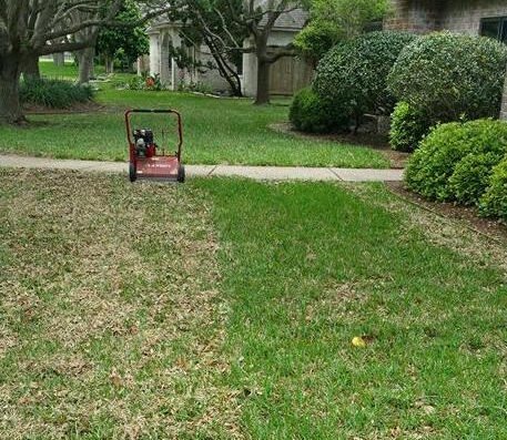 CC Tree Service