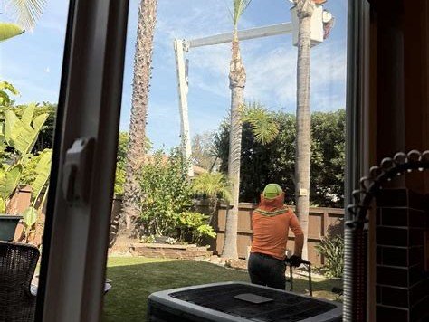 Crew member trimming branches near backyard AC unit, Lemon Grove CA