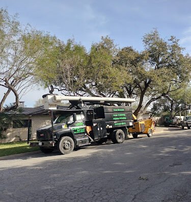 C&N Tree Service – lawn care in Corpus Christi
