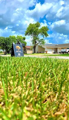 Gold Tree Corpus Christi Tree Cutting Services – lawn care in Corpus Christi