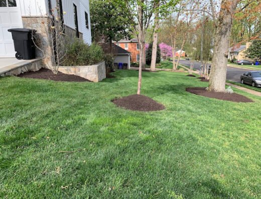 Greener Lawn Maintenance LLC