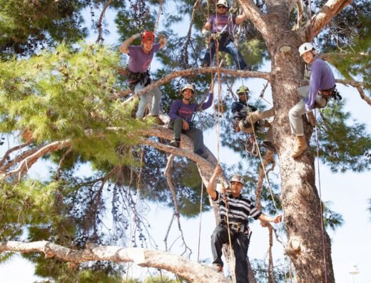 Heartwood Tree Care crew team photo