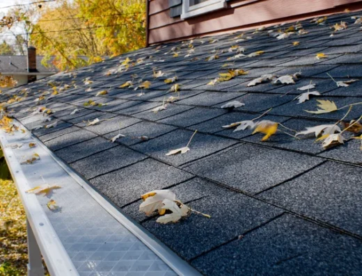 LeafFilter gutter guard installed on roof