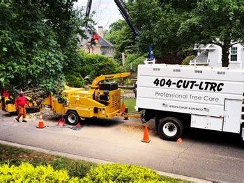 LTRC-Tree Specialists technician removing large fallen tree near power lines