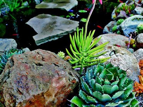 Pacific Outdoor Living paver hardscape work